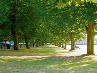 Tree-lined path in the Prom, Maldon.