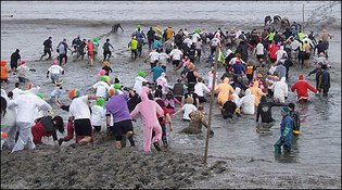 Competitors taking part in the Maldon Mud Race.